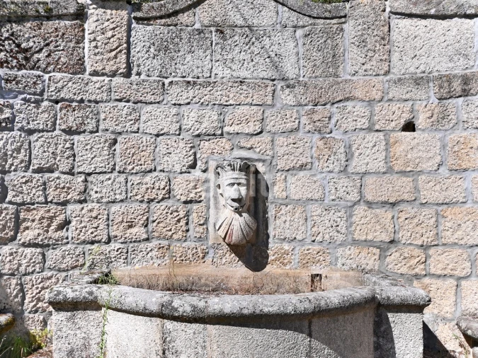 Negócio para Venda em Abrunhosa-A-Velha Foto 36