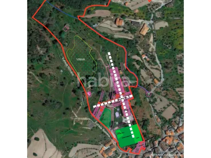 Negócio para Venda em Abrunhosa-A-Velha Foto 38