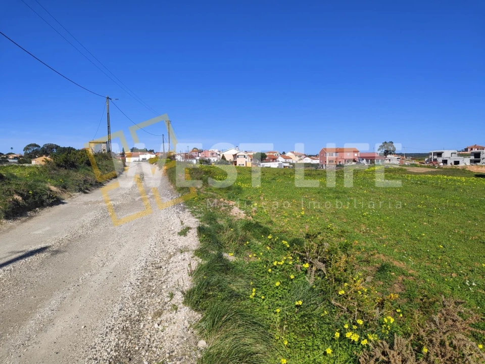Terreno Agricola ou Rústico para Venda em Silveira Foto 2