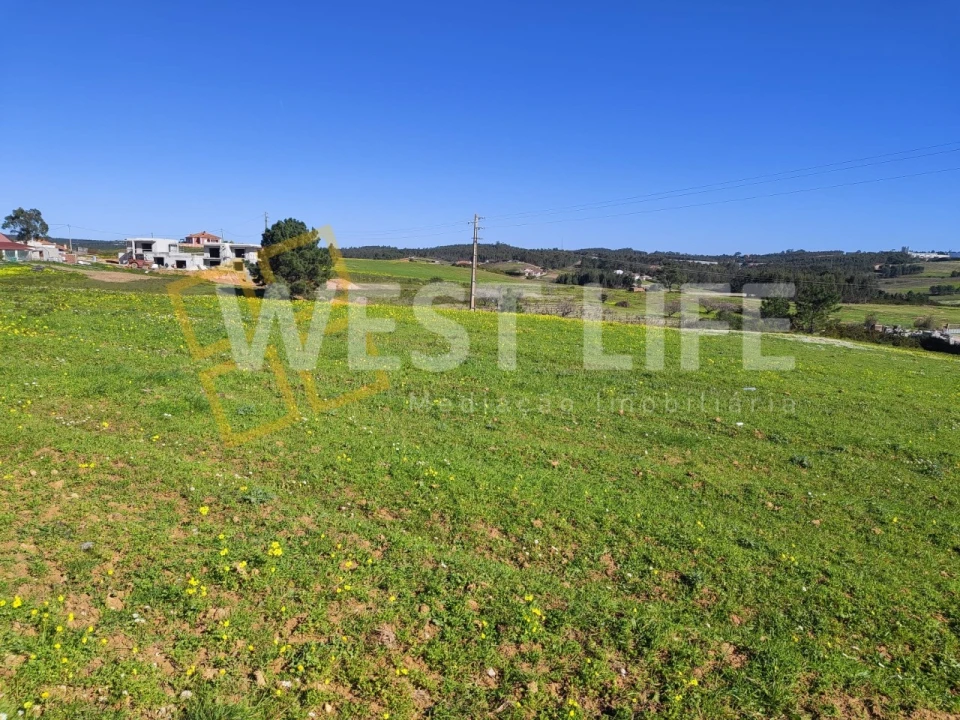 Terreno Agricola ou Rústico para Venda em Silveira Foto 14