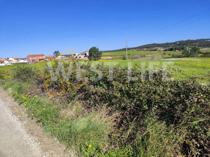 Terreno Agricola ou Rústico para Venda em Silveira Foto 7