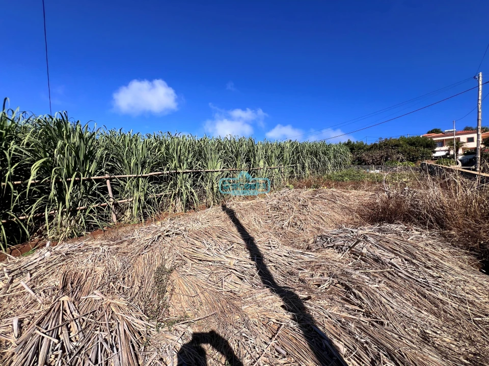 Terreno para Venda em Canhas Foto 5