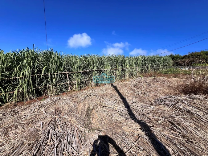 Terreno para Venda em Canhas Foto 4