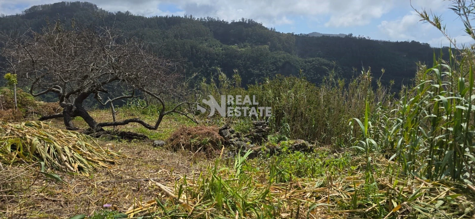 Terreno para Venda em Tabua Foto 16