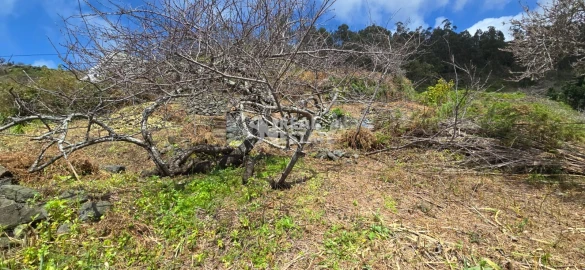 Terreno para Venda em Tabua