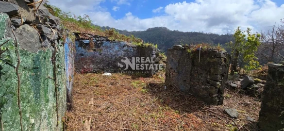 Terreno para Venda em Tabua