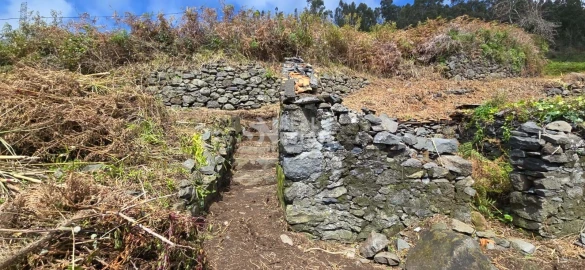 Terreno para Venda em Tabua