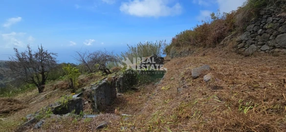 Terreno para Venda em Tabua