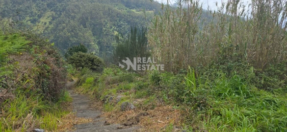 Terreno para Venda em Tabua