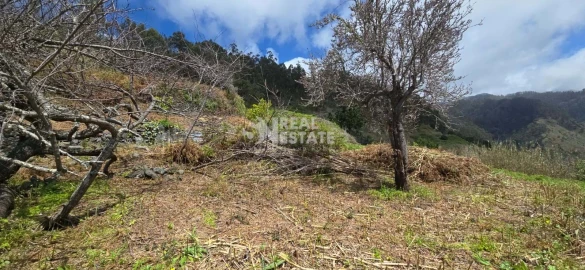 Terreno para Venda em Tabua