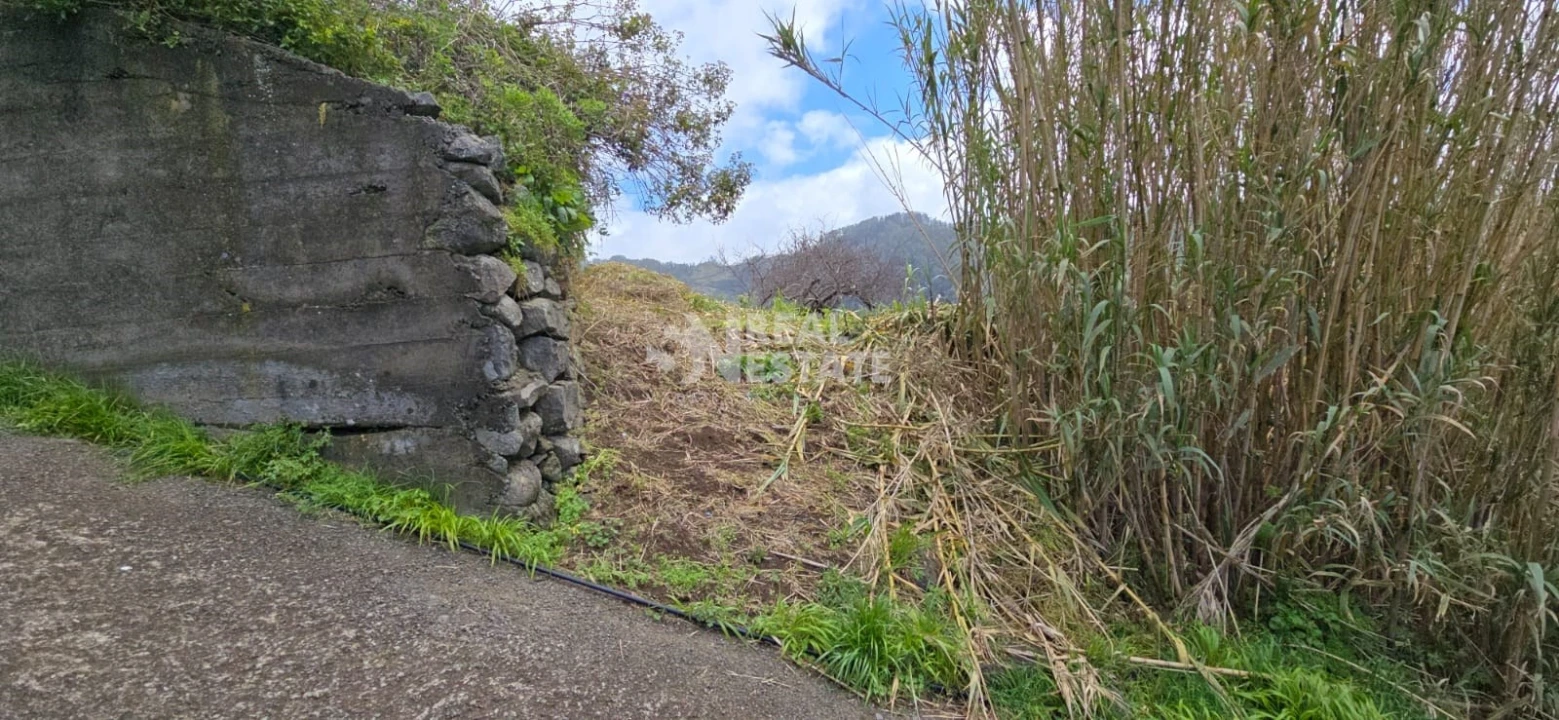 Terreno para Venda em Tabua Foto 10