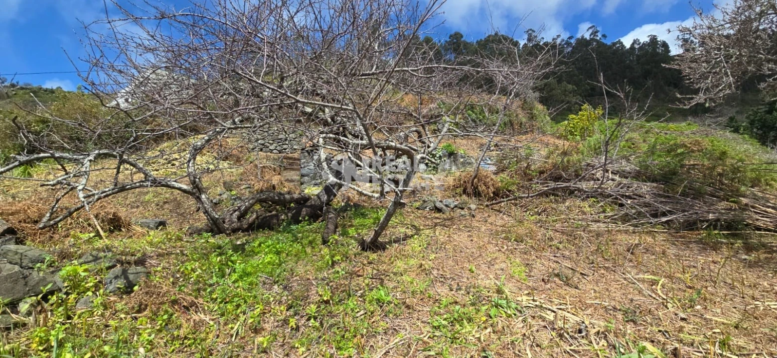 Terreno para Venda em Tabua Foto 22