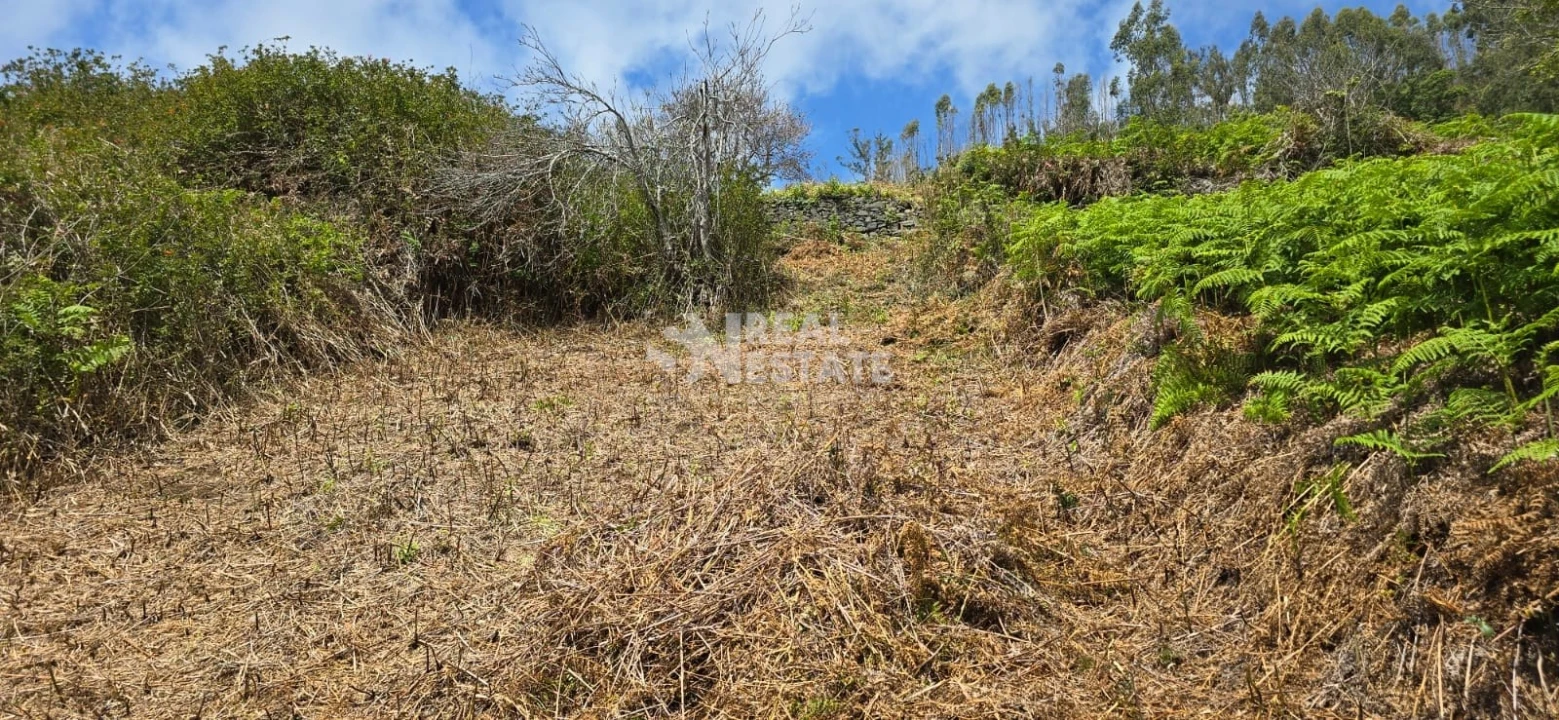 Terreno para Venda em Tabua Foto 23