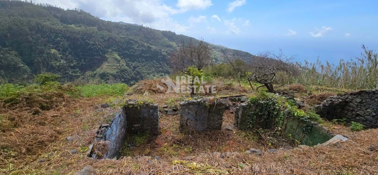 Terreno para Venda em Tabua Foto 1