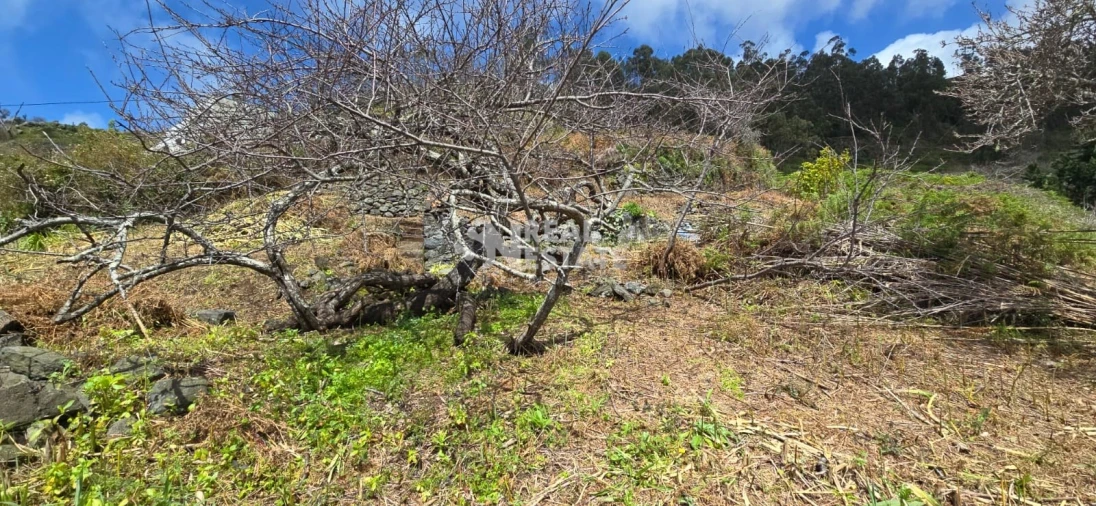 Terreno para Venda em Tabua Foto 22