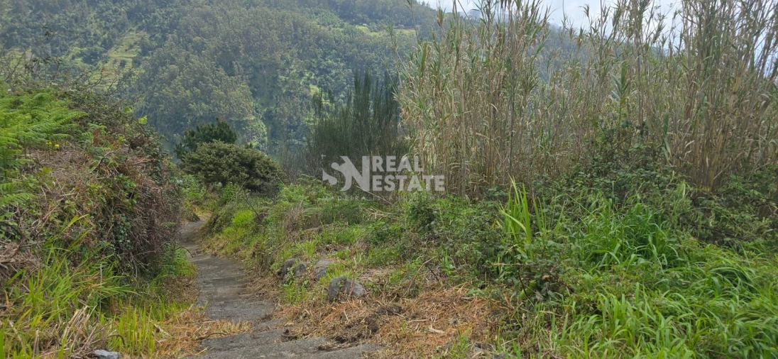 Terreno para Venda em Tabua Foto 11