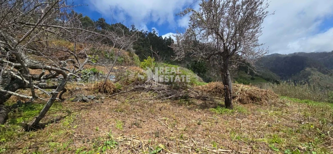 Terreno para Venda em Tabua Foto 21