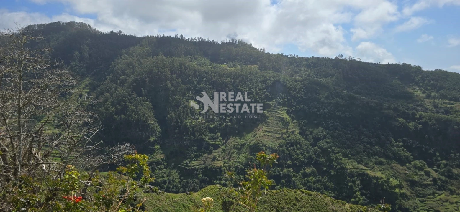 Terreno para Venda em Tabua Foto 25