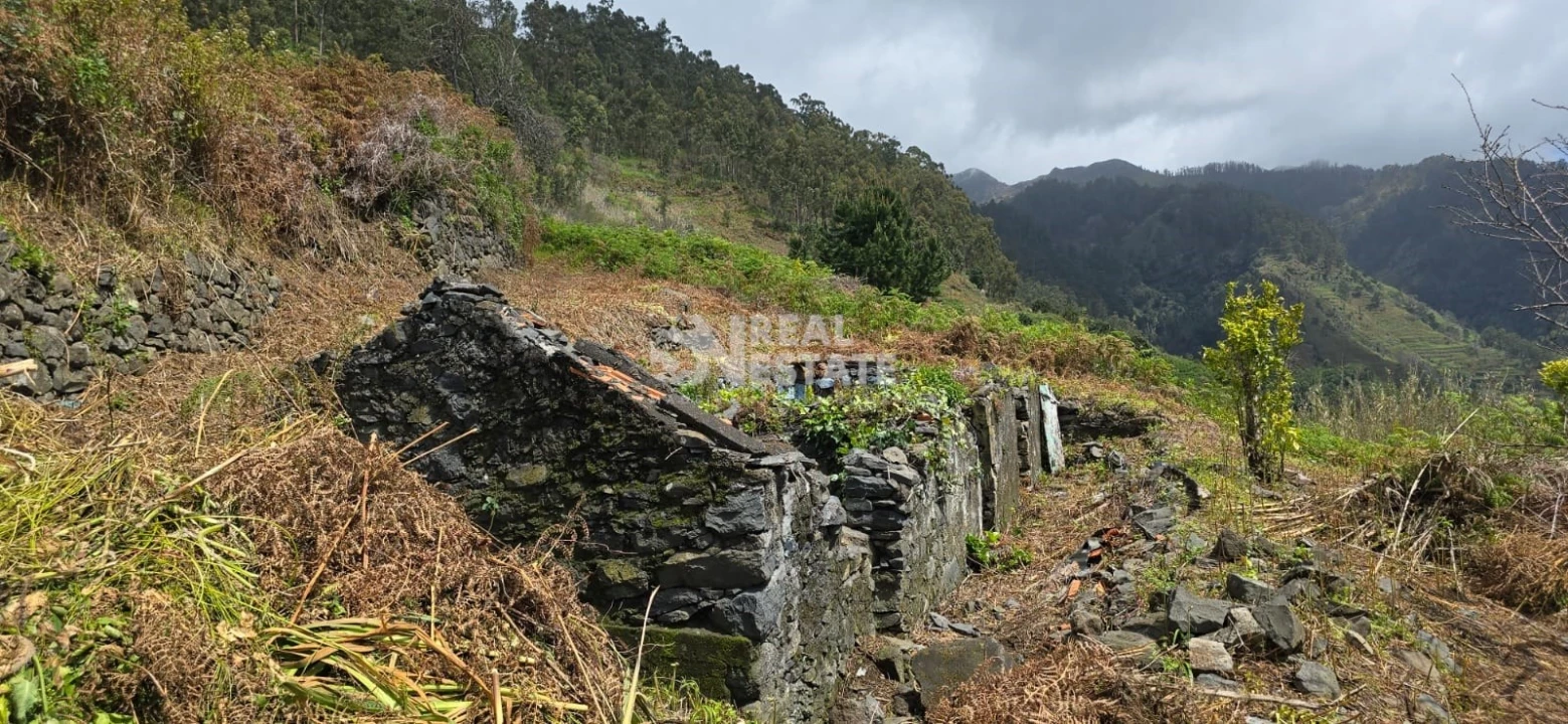 Terreno para Venda em Tabua Foto 9