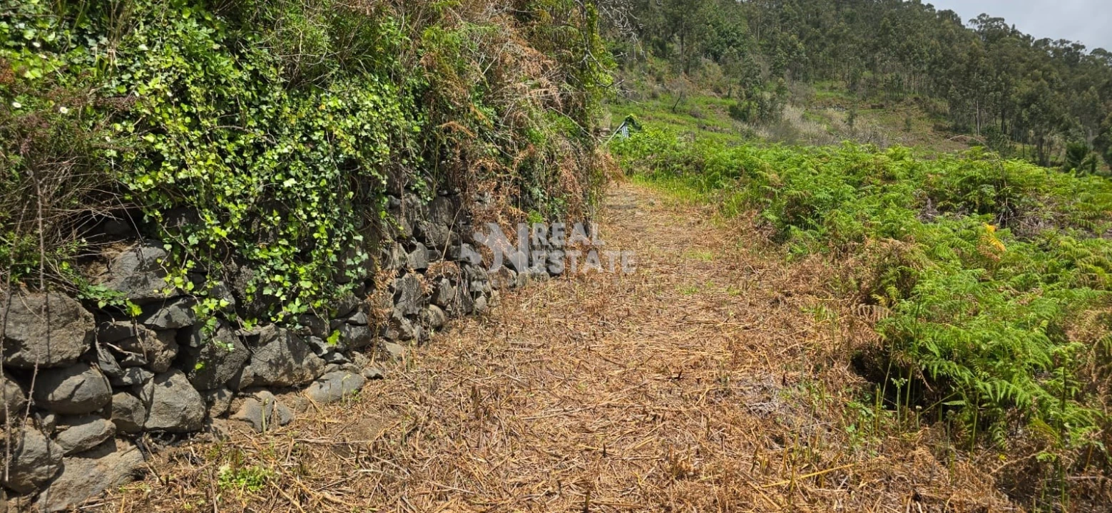 Terreno para Venda em Tabua Foto 17