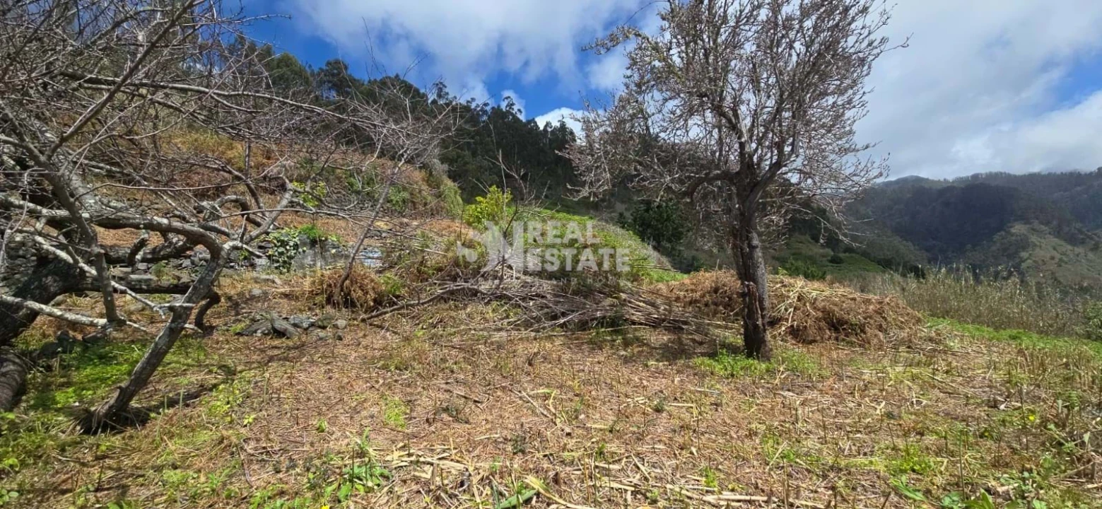 Terreno para Venda em Tabua Foto 21