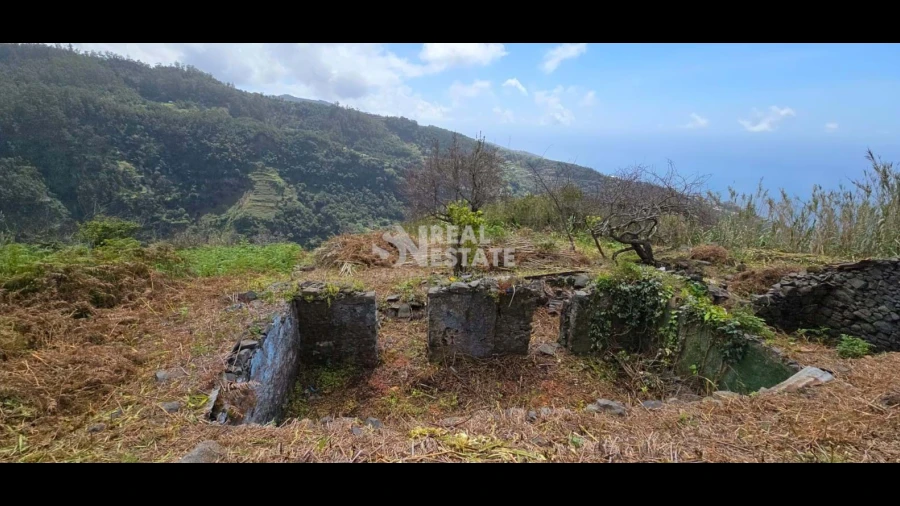Terreno para Venda em Tabua