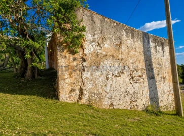 Terreno para Venda em Loule (São Sebastião)