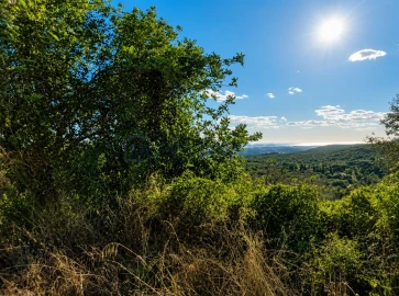 Terreno para Venda em Loule (São Sebastião)