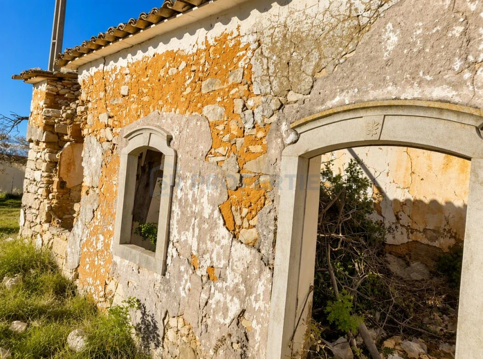 Terreno para Venda em Loule (São Sebastião) Foto 10