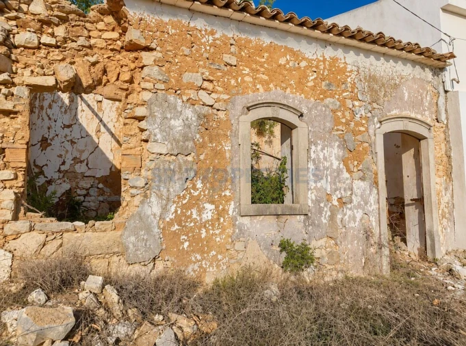 Terreno para Venda em Loule (São Sebastião) Foto 4