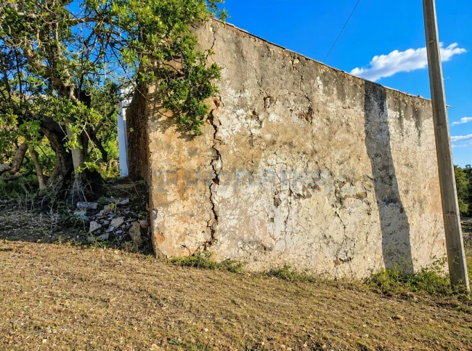 Terreno para Venda em Loule (São Sebastião) Foto 16