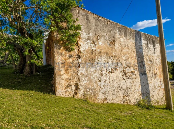 Terreno para Venda em Loule (São Sebastião) Foto 7