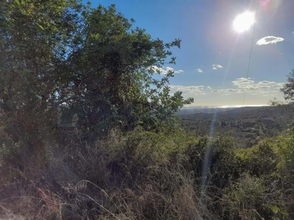 Terreno para Venda em Loule (São Sebastião) Foto 3