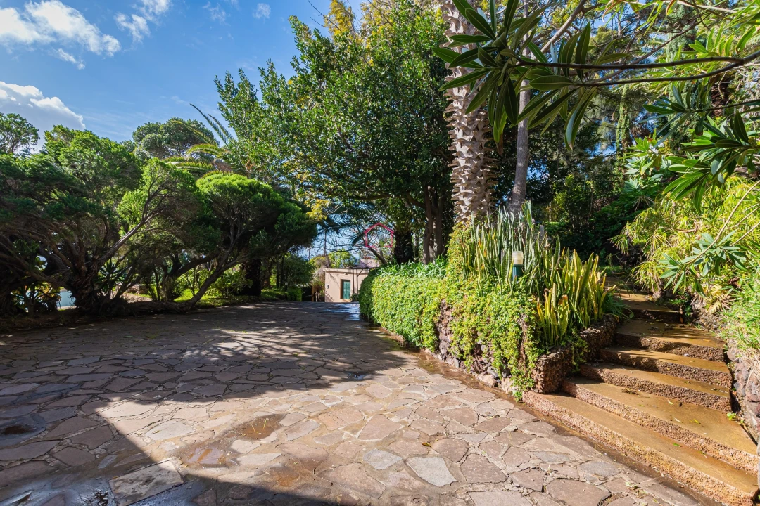 Moradia T3 para Venda em Caniçal Foto 9