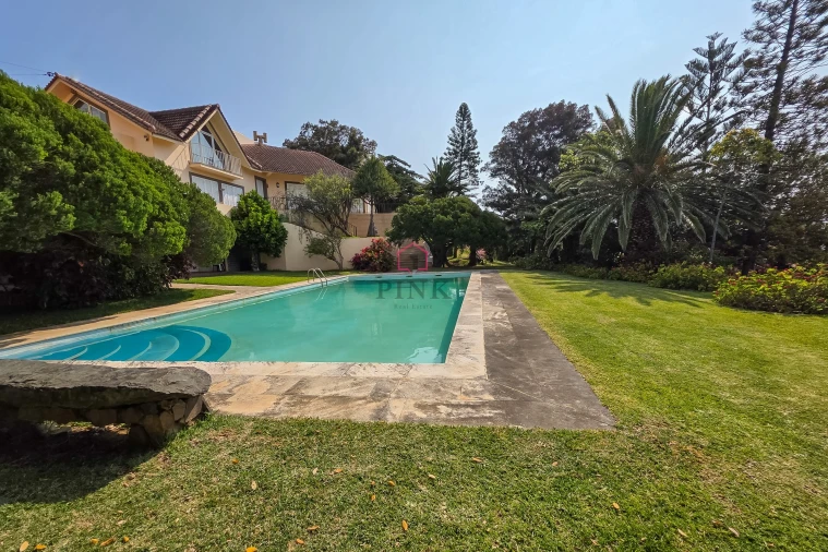 Moradia T3 para Venda em Caniçal Foto 4