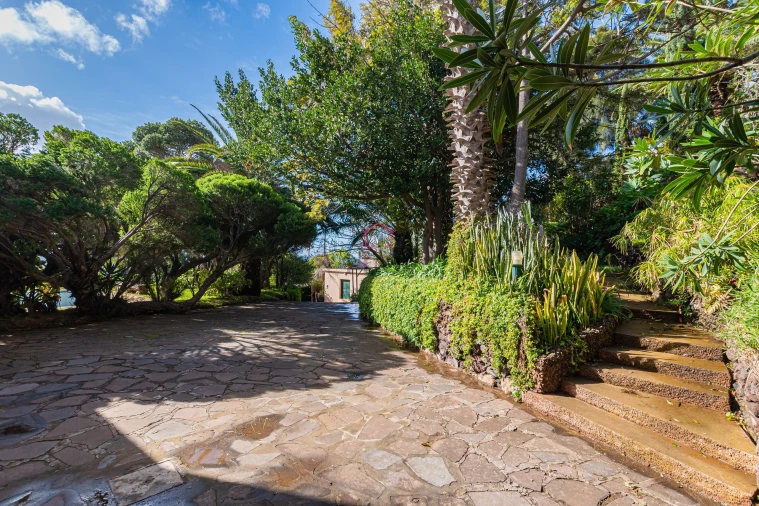 Moradia T3 para Venda em Caniçal Foto 9