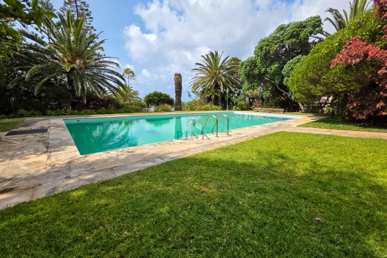 Moradia T3 para Venda em Caniçal Foto 2