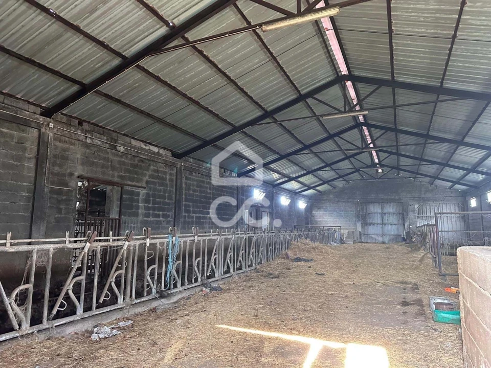 Armazém para Venda em Calvão e Soutelinho da Raia Foto 1