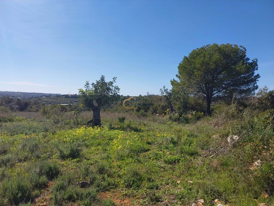 Terreno Agricola ou Rústico para Venda em São Silvestre Foto 11