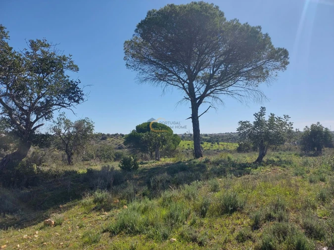 Terreno Agricola ou Rústico para Venda em São Silvestre Foto 8