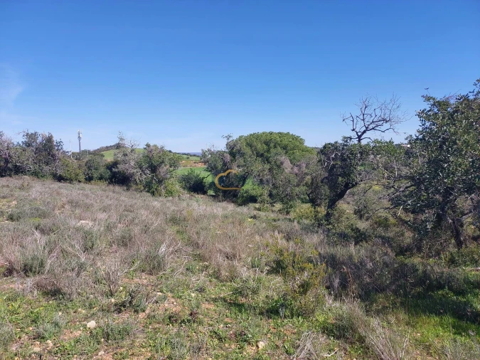 Terreno Agricola ou Rústico para Venda em São Silvestre Foto 6