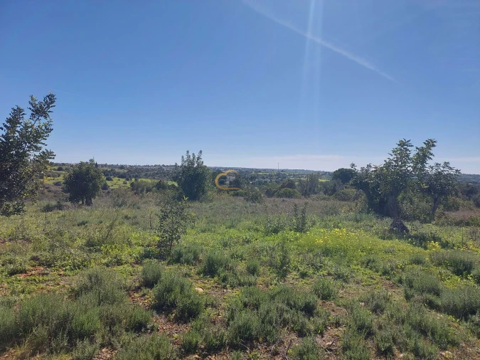 Terreno Agricola ou Rústico para Venda em São Silvestre Foto 12