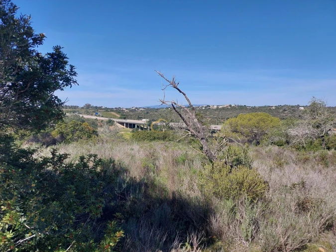 Terreno Agricola ou Rústico para Venda em São Silvestre Foto 9