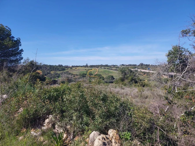 Terreno Agricola ou Rústico para Venda em São Silvestre Foto 10