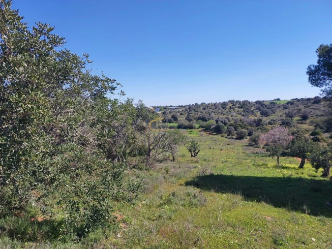 Terreno Agricola ou Rústico para Venda em São Silvestre Foto 5