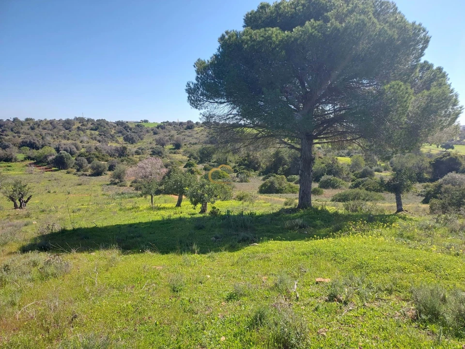 Terreno Agricola ou Rústico para Venda em São Silvestre Foto 4