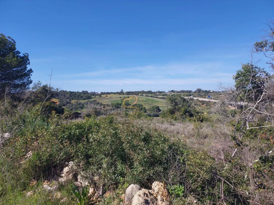 Terreno Agricola ou Rústico para Venda em São Silvestre Foto 10