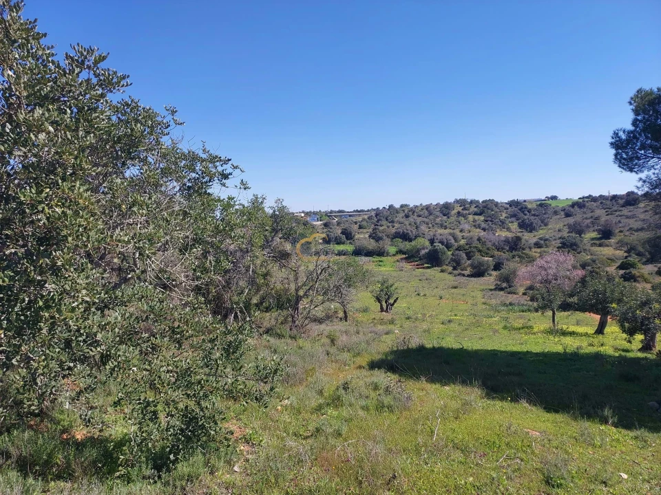 Terreno Agricola ou Rústico para Venda em São Silvestre Foto 5