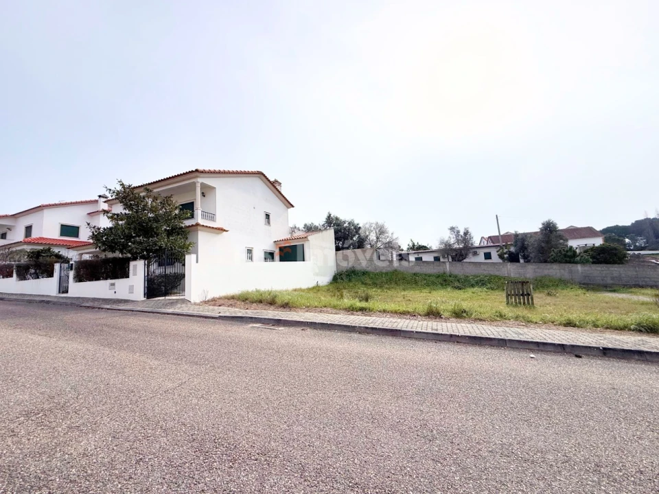 Terreno para Venda em Chamusca e Pinheiro Grande Foto 3