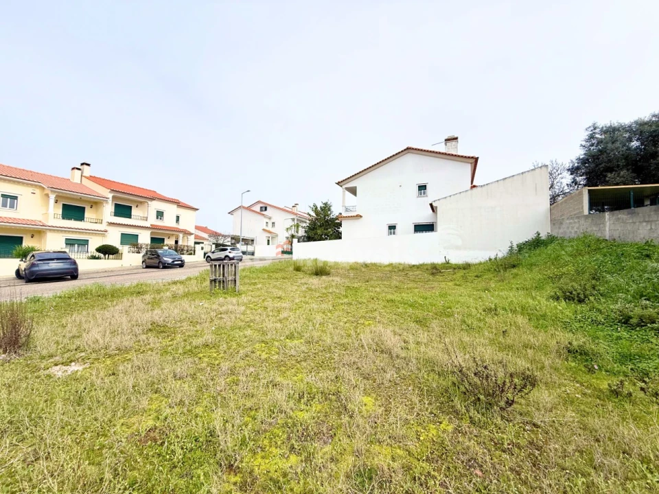 Terreno para Venda em Chamusca e Pinheiro Grande Foto 2